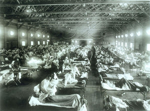 Influenza and WW1, and WW2